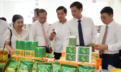 OCOP Nghệ An tìm đường vào thị trường lớn