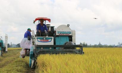 Ngành lúa gạo tăng giá trị, giảm phát thải