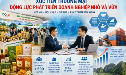 Hoàn thiện hệ sinh thái xúc tiến thương mại cho doanh nghiệp nhỏ và vừa