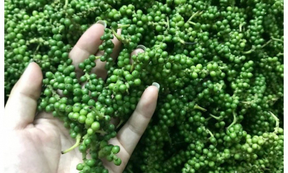 Hạt tiêu Việt hưởng lợi từ chu kỳ tăng giá mới