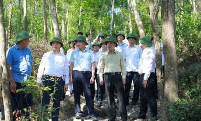 Thanh Hoá: Đẩy nhanh xử lý các dự án tồn đọng, chống lãng phí nguồn lực