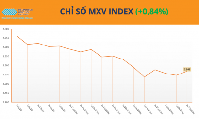 Lực mua chiếm ưu thế, MXV-Index tăng nhẹ lên 2.568 điểm phiên cuối tháng 6