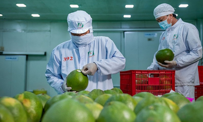 Bứt phá chuỗi giá trị từ thương mại xanh và công nghệ