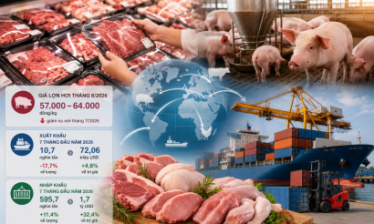 Thị trường thịt phân hóa, doanh nghiệp Việt chịu sức ép kép
