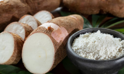 Ngành sắn trước bài toán giảm phụ thuộc thị trường Trung Quốc