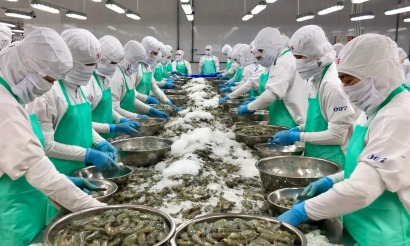 RCEP : Dư địa lớn, năng lực doanh nghiệp mới là điểm nghẽn