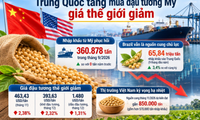 Trung Quốc tăng mua đậu tương Mỹ, giá thế giới giảm