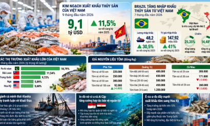 Xuất khẩu thủy sản Việt Nam tăng 11,5%, Brazil nổi lên như thị trường tiềm năng