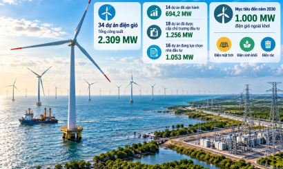 Cà Mau đẩy nhanh phát triển năng lượng tái tạo, hướng tới 1.000 MW điện gió ngoài khơi