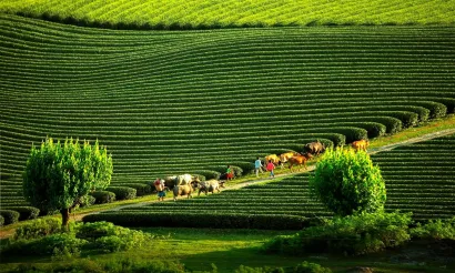 Du lịch Sơn La: Đòn bẩy đầu tư xanh, mở rộng không gian tăng trưởng vùng