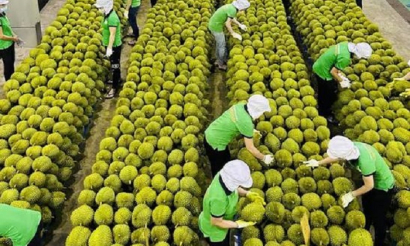 Từ sản lượng đến giá trị: Hướng đi cho xuất khẩu nông, lâm, thủy sản