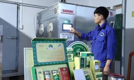 Khi hợp tác xã tham gia sâu vào thị trường