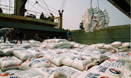 Cơ hội xuất khẩu gạo Việt Nam 2026: Tăng trưởng song hành thách thức 