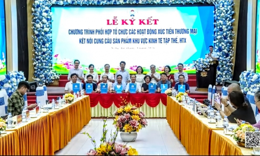 Xúc tiến thương mại mở rộng đầu ra cho kinh tế tập thể 