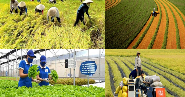 Phát triển nông nghiệp xanh đi vào giá trị thực chất