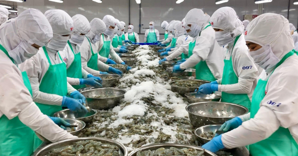 Tái cấu trúc chuỗi giá trị hướng tới mốc 100 tỷ USD xuất khẩu nông sản
