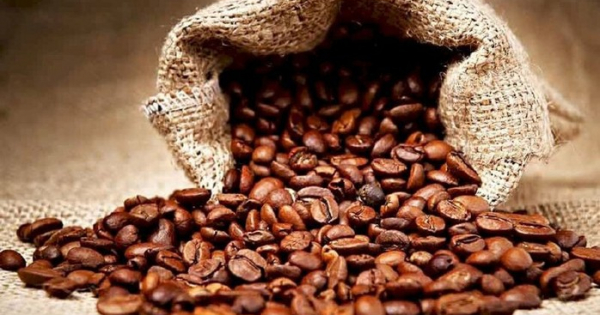 Giá Robusta giảm, cà phê Việt tăng thị phần tại Thái Lan